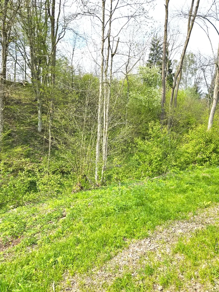 Schönes landwirtschaftliches Grundstück in Waizenkirchen / Stroheim - Ansicht 3