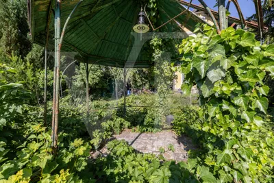 Grundstück kaufen in Mödling – 1 050 m², € 1.290.000 – Bild 3 von 5