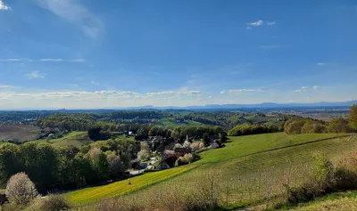 Grundstück kaufen in Jennersdorf – 12 478 m² – Bild 6 von 9