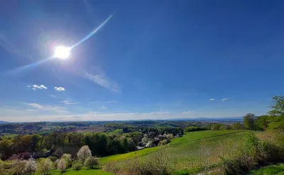 Grundstück kaufen in Jennersdorf – 12 478 m² – Bild 4 von 9