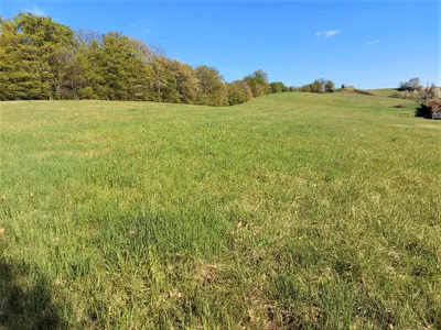 Grundstück kaufen in Jennersdorf – 12 478 m² – Bild 7 von 9