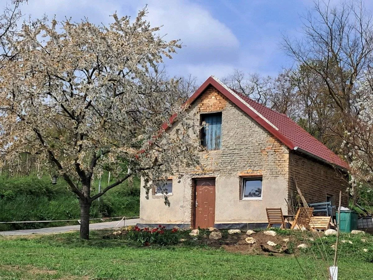 Haus – Reintal - Ansicht 2