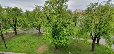3-Zimmer-Wohnung mieten in Graz – 65 m², € 747 – Bild 19 von 21
