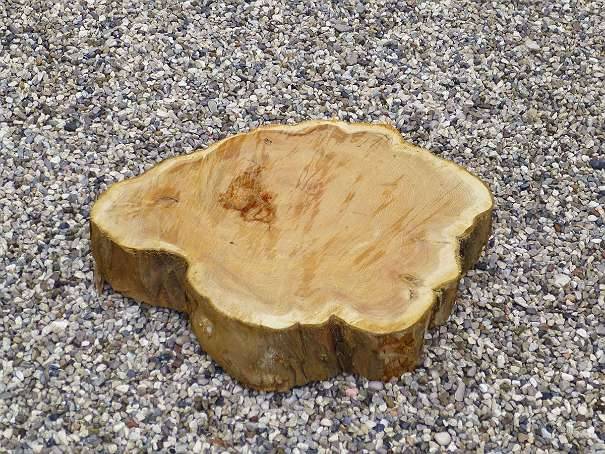 Eibenholz Baumscheibe, Eibe Holzscheibe, Hirnholzscheibe, Naturkante mit  Rinde,  49,- (4523 Neuzeug) - willhaben