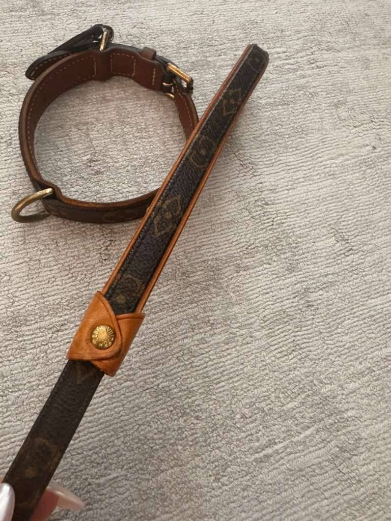 Louis Vuitton Hundehalsband gr. S,  375,- (1010 Wien) - willhaben