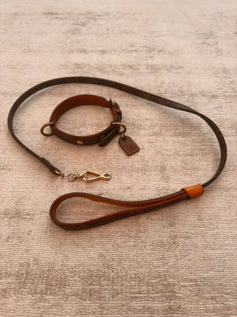 Louis Vuitton Hundehalsband gr. S,  375,- (1010 Wien) - willhaben