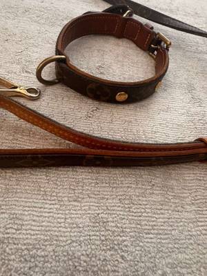 Louis Vuitton Hundehalsband gr. S,  375,- (1010 Wien) - willhaben