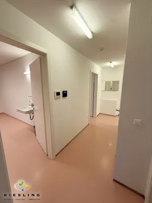 6-Zimmer-Gewerbeimmobilie mieten in Wien – 159 m², € 2.100 – Bild 29 von 47