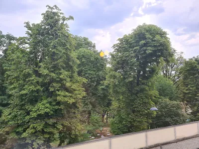 Wohnung mieten in Wien – 94 m², € 1.899 – Bild 10 von 26