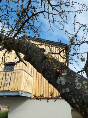 3-Zimmer-Wohnung mieten in Krems Land – 83 m², € 1.195 – Bild 17 von 18