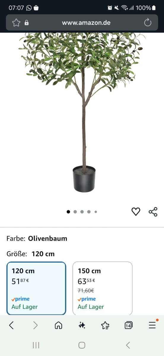Olivenbaum Kunststoff,  35,- (9241 Damtschach) - willhaben