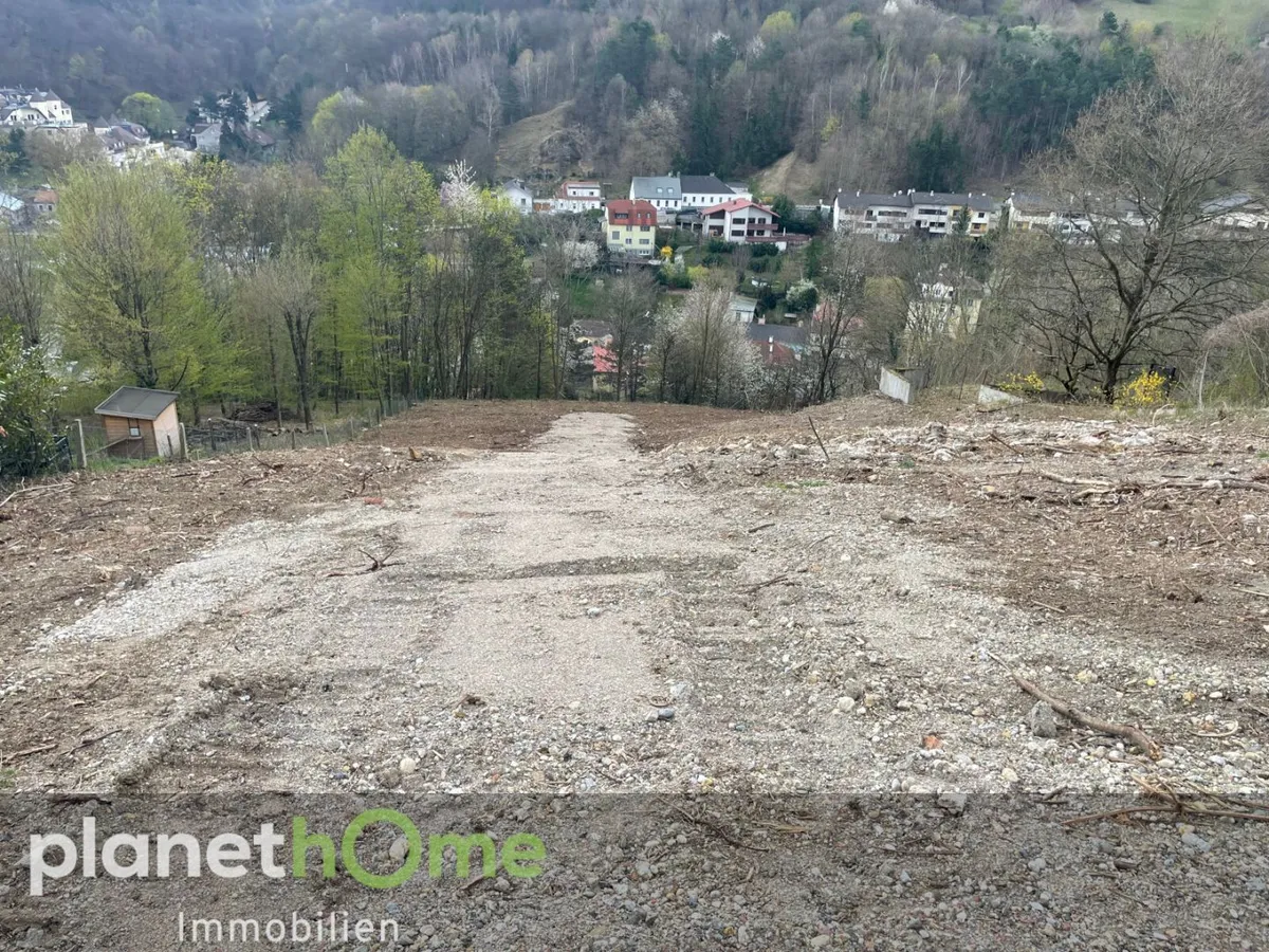 Grundstück in Hanglage in Kaltenleutgeben – pohled 3