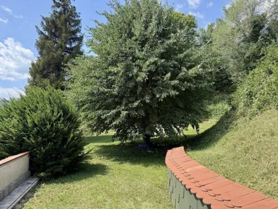 5-Zimmer-Haus kaufen in Wiener Neustadt Land – 163,78 m², € 490.000 – Bild 51 von 64