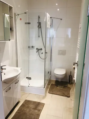 1-Zimmer-Immobilie kaufen in Gmunden – 30 m², € 169.000 – Bild 4 von 13