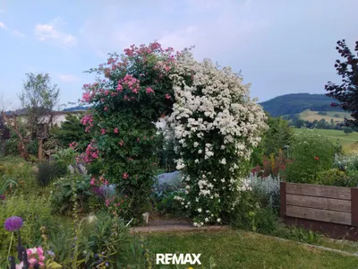 5-Zimmer-Immobilie kaufen in Amstetten – 166 m², € 755.000 – Bild 38 von 45