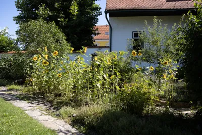 Haus mieten in Leibnitz – 200 m², € 1.500 – Bild 5 von 17