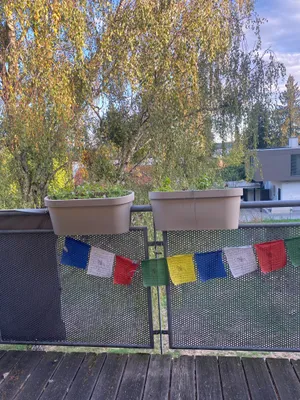 2-Zimmer-Wohnung mieten in Hartberg-Fürstenfeld – 52 m², € 651 – Bild 5 von 7