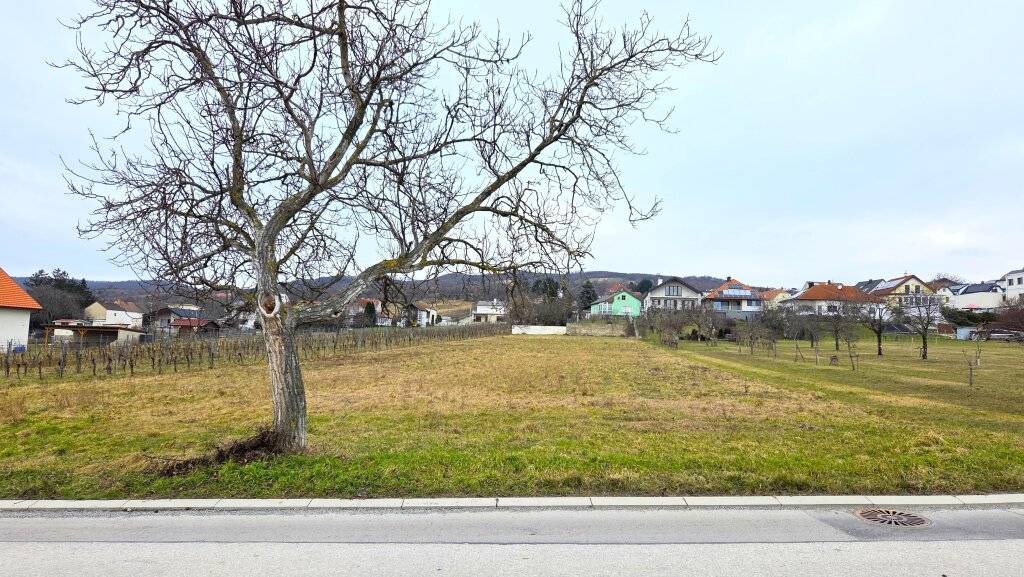 !!! Baugrundstück ohne Bauzwang, Purbach am Neusiedler See