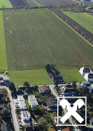 Sonniger Baugrund in Kapellerfeld Nähe Stadtgrenze Wien – pohled 3