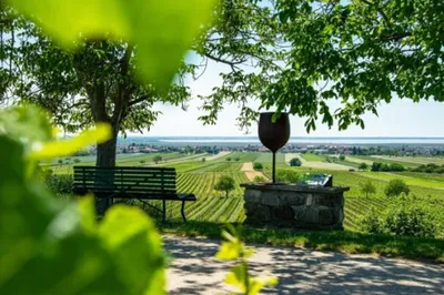 Grundstück kaufen in Neusiedl am See – 9 200 m², € 92.000 – Bild 3 von 4
