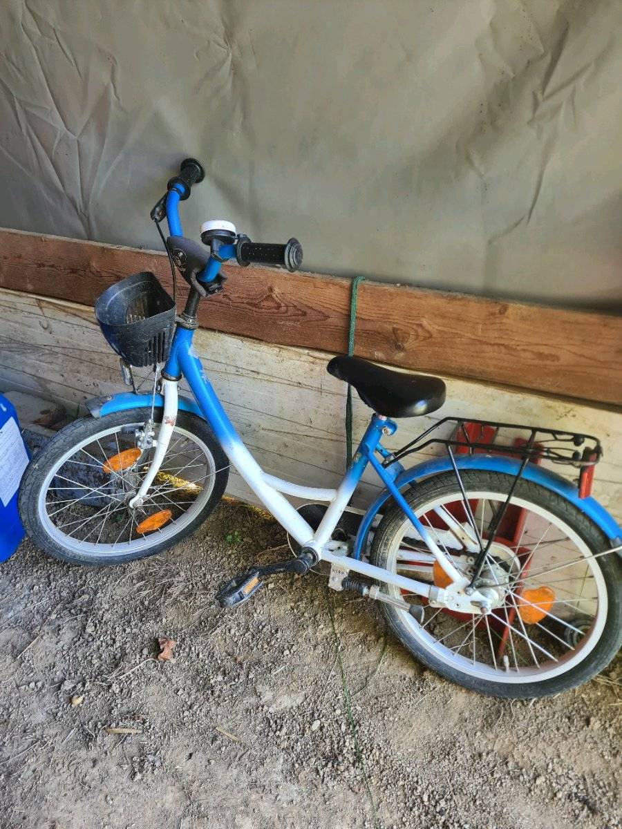 Kinderfahrrad 18 Zoll kaufen - willhaben