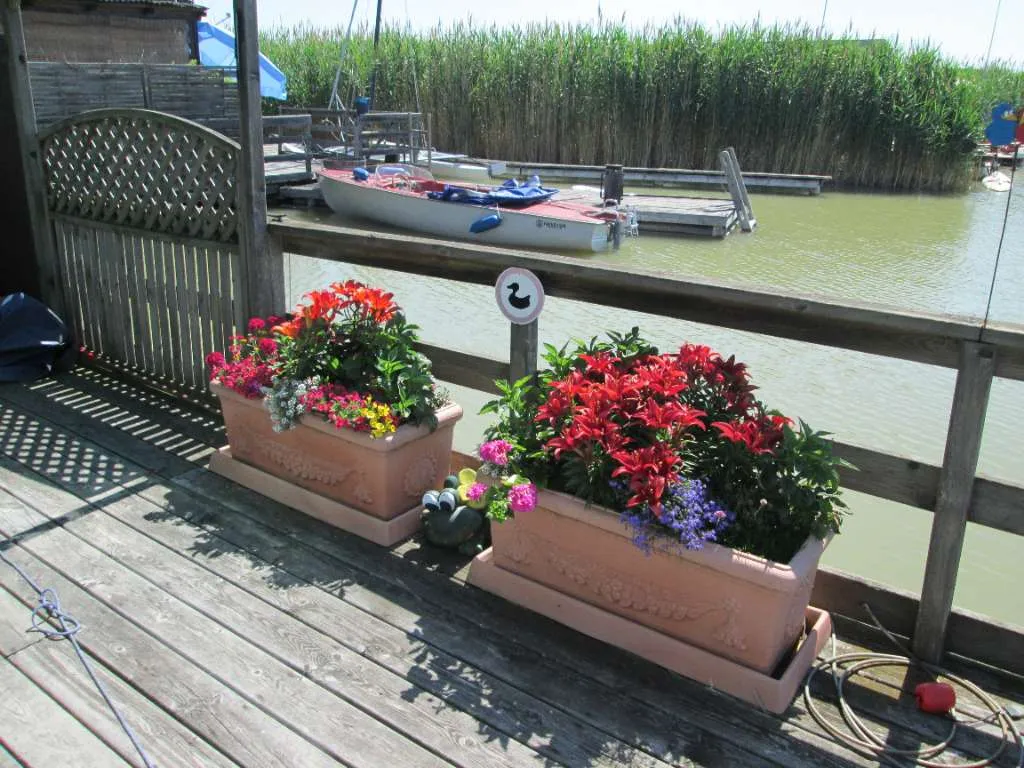 Seehütte am Neusiedler-See von Privat zu verkaufen - Ansicht 2