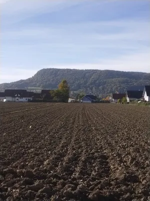Grundstück kaufen in Leibnitz – 700 m², € 91.000 – Bild 2 von 5