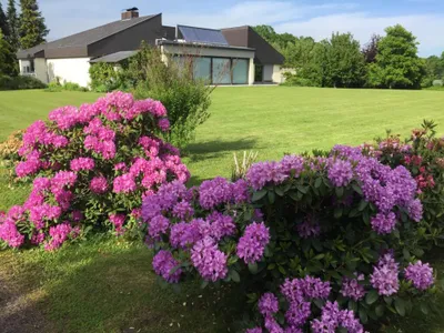 Haus kaufen in Wels-Land – 300 m², € 990.000 – Bild 10 von 23