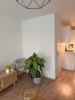 2-Zimmer-Wohnung mieten in Wien – 61 m², € 727 – Bild 2 von 20