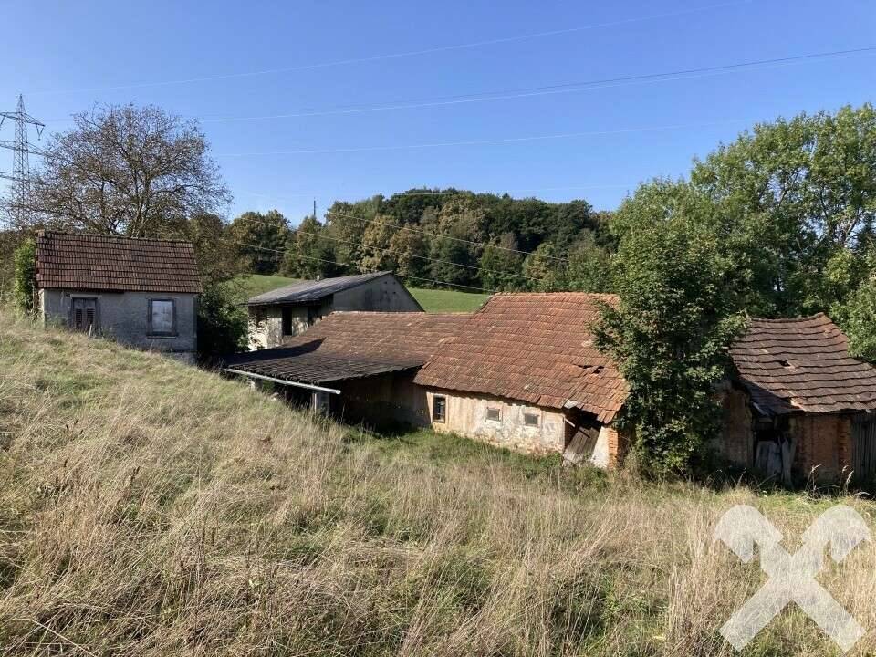 Hofstelle im Dornröschenschlaf nähe der Stadt Feldbach, Mühldorf bei Feldbach