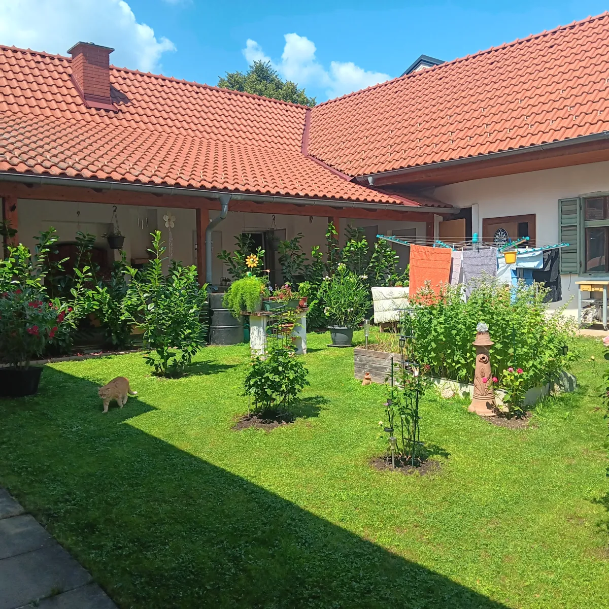 Wohnung – Deutsch Kaltenbrunn - Ansicht 2