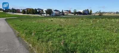Immobilie mieten in Wels-Land – 16 838 m² – Bild 5 von 6