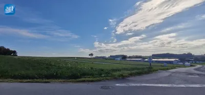 Immobilie mieten in Wels-Land – 16 838 m² – Bild 4 von 6