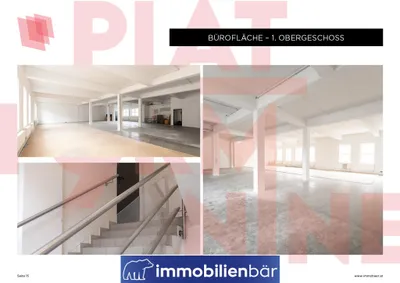 Gewerbeimmobilie mieten in Wels – 256 m², € 7 – Bild 4 von 21