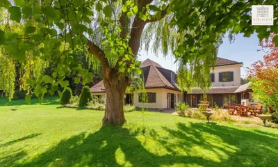 9-Zimmer-Immobilie kaufen in Mödling – 435,89 m², € 4.750.000 – Bild 5 von 19