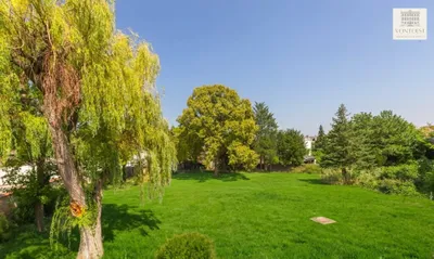 9-Zimmer-Immobilie kaufen in Mödling – 435,89 m², € 4.750.000 – Bild 7 von 19