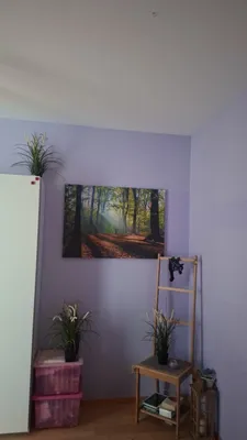 5-Zimmer-Haus kaufen in Sankt Pölten Land – 121 m², € 479.000 – Bild 26 von 50