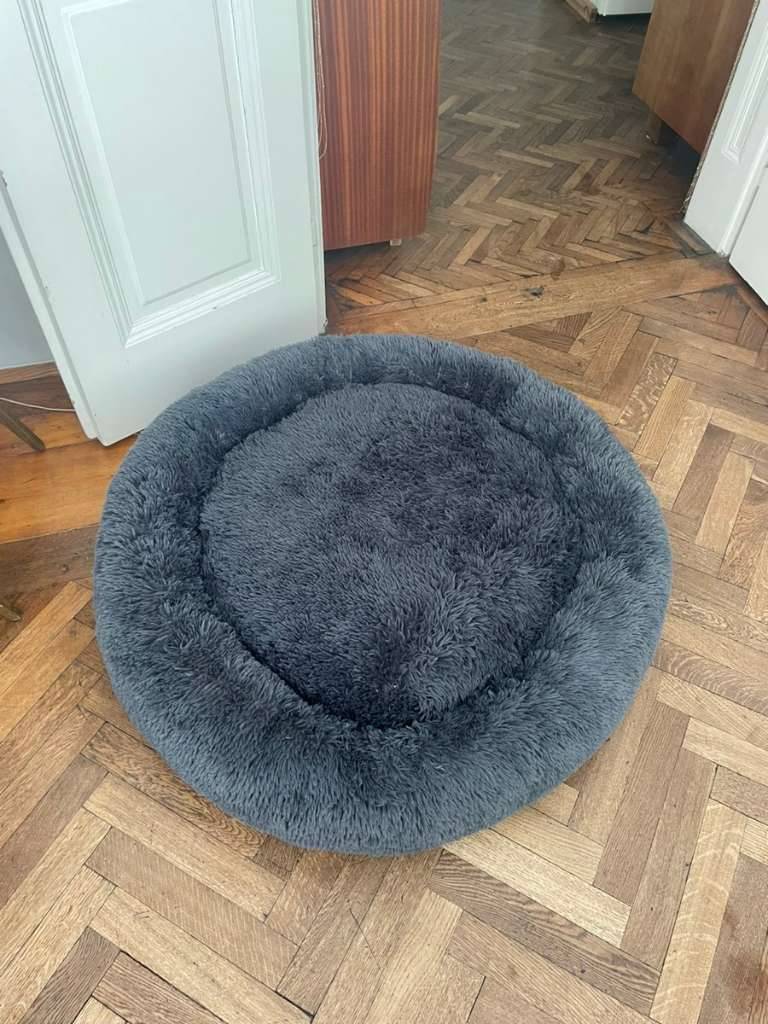 gutes hunde nassfutter AniForte Rind Pur Nassfutter für sensible Hunde main image 1