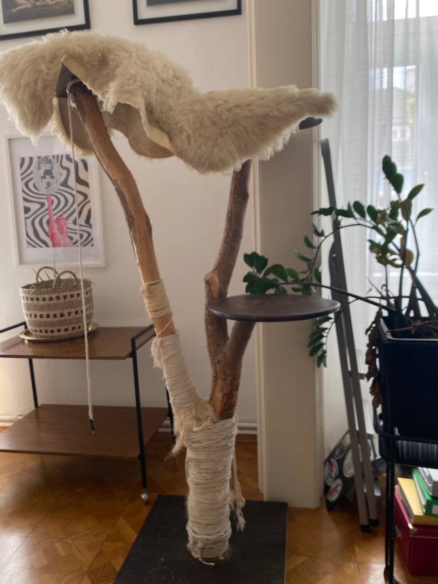 Kratzbaum aus echtem Baumstamm - Natur,  90,- (3500 Krems an der Donau) -  willhaben