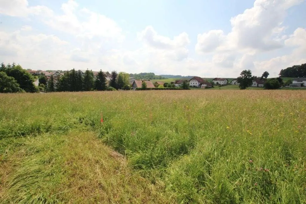 1018 m² Grundstück in einer ruhigen Siedlung in 4760 Raab zu kaufen! - Ansicht 3