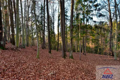 Grundstück kaufen in Graz-Umgebung – 13 000 m² – Bild 4 von 7