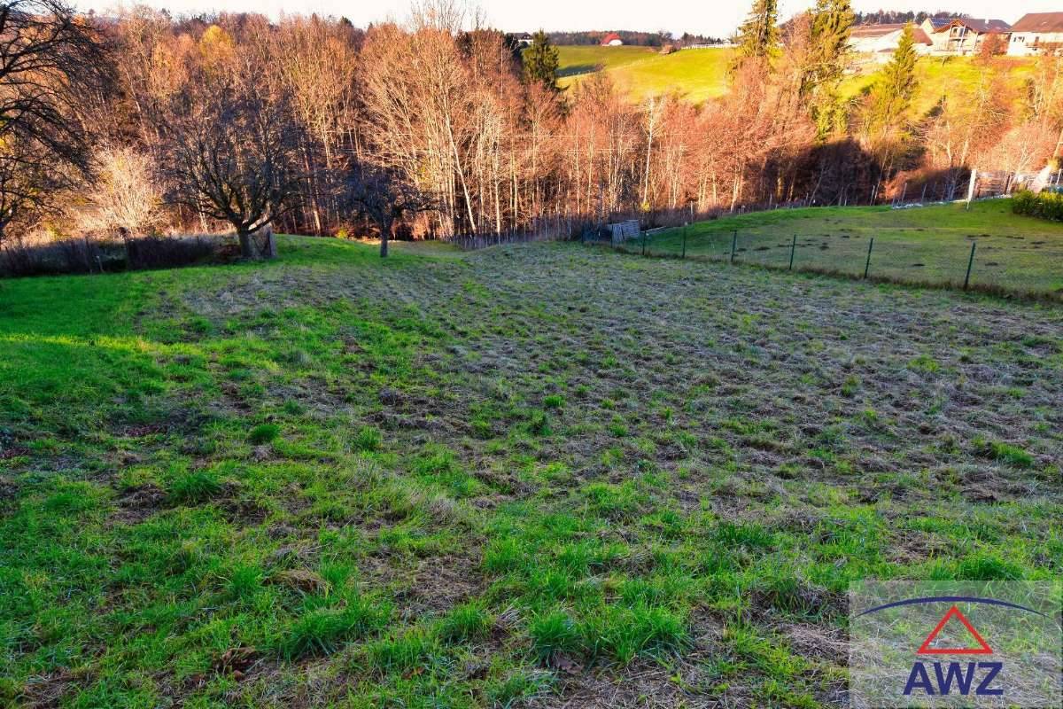 Baugrundstück mit landwirtschaflicher Nutzfläche! - Ansicht 2