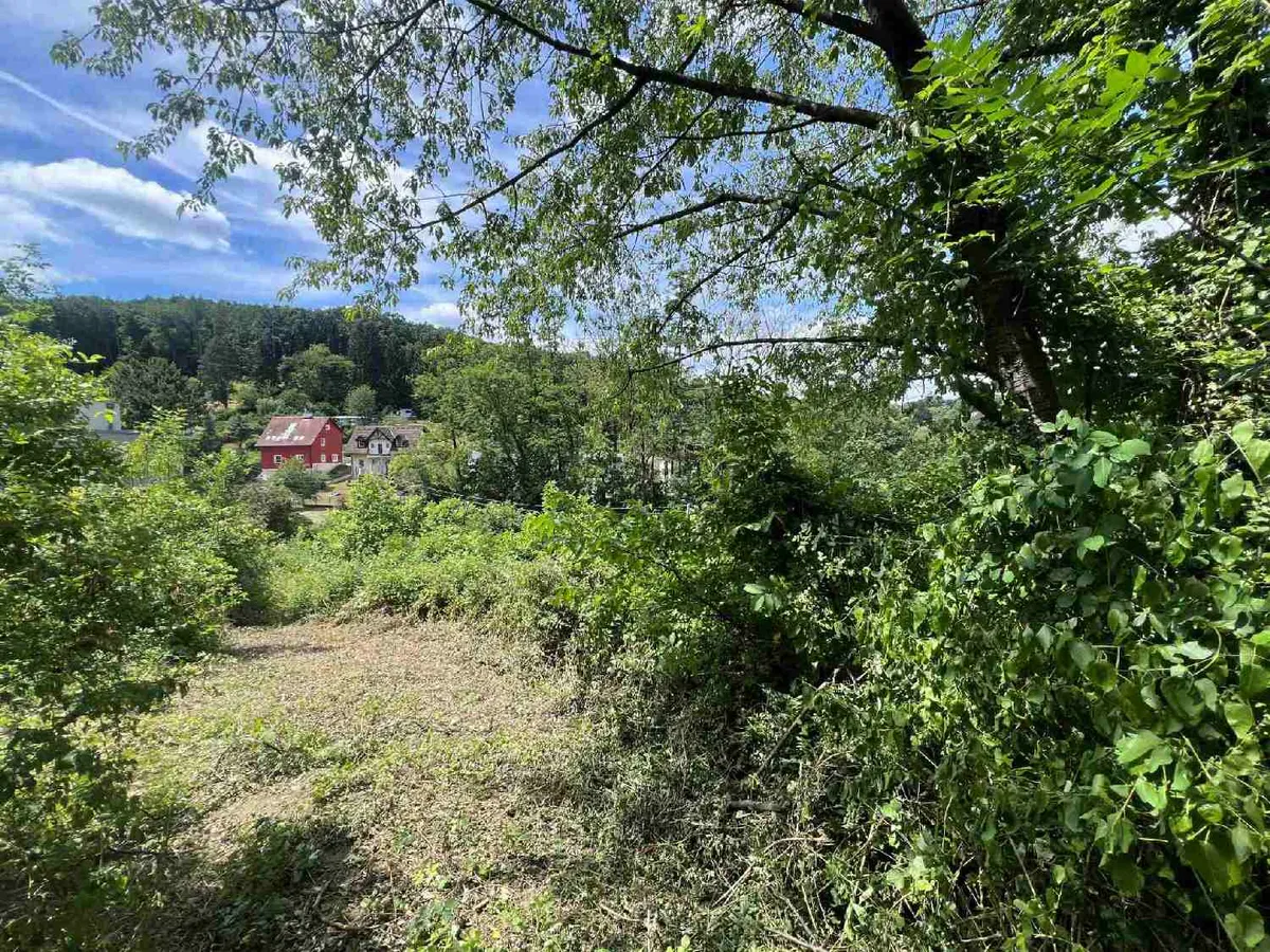 Traumhafter Baugrund in Kierling - Ansicht 3