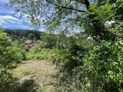 Grundstück kaufen in Tulln – 3 142 m², € 750.000 – Bild 3 von 12
