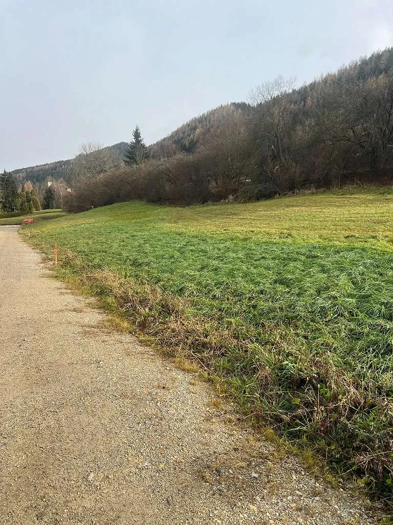 Baugrundstücke voll aufgeschlossen - kein Bauzwang - Kindbergdörfl - Ansicht 2
