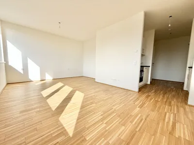 Wohnung zur Miete in 8010 Graz