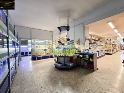 Gewerbeimmobilie kaufen in Neunkirchen – 547 m², € 399.000 – Bild 4 von 6