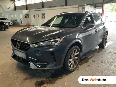 Cupra Formentor Basis 4Drive