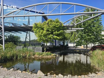 Gewerbeimmobilie mieten in Gänserndorf – 545 m², € 4.070 – Bild 7 von 29