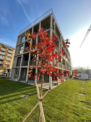 3-Zimmer-Gewerbeimmobilie kaufen in Graz – 75 m² – Bild 3 von 12